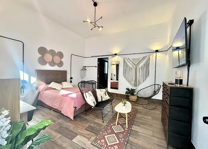 Large, Well-lit 4 Apartment Mexico City