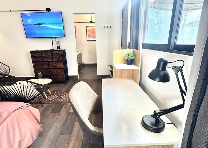 Large, Well-lit 4 Apartment