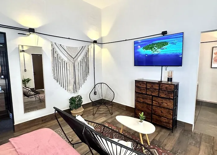 Large, Well-lit 4 Apartment