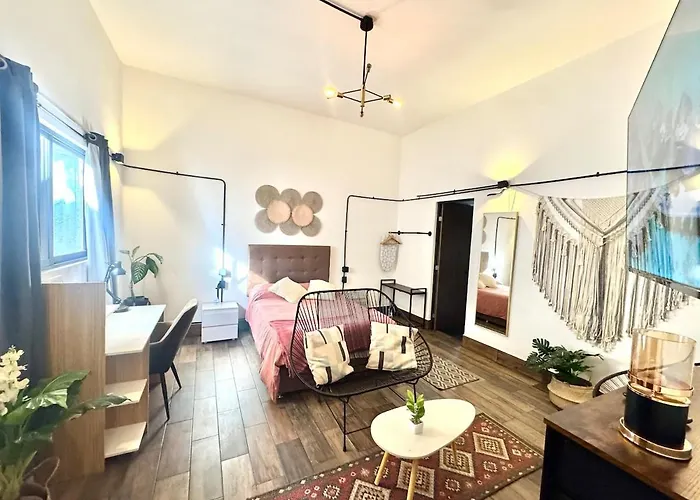 Large, Well-lit 4 Apartment