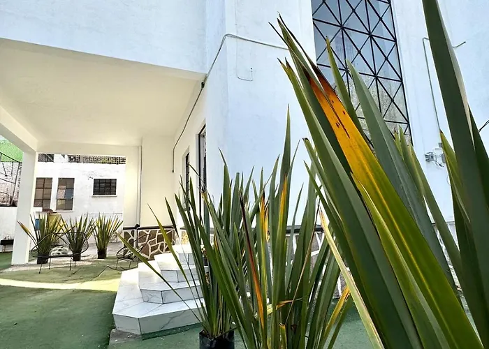 Large, Well-lit 4 Apartment